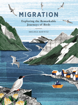 Melissa Mayntz - Migration: Exploring the remarkable journeys of birds