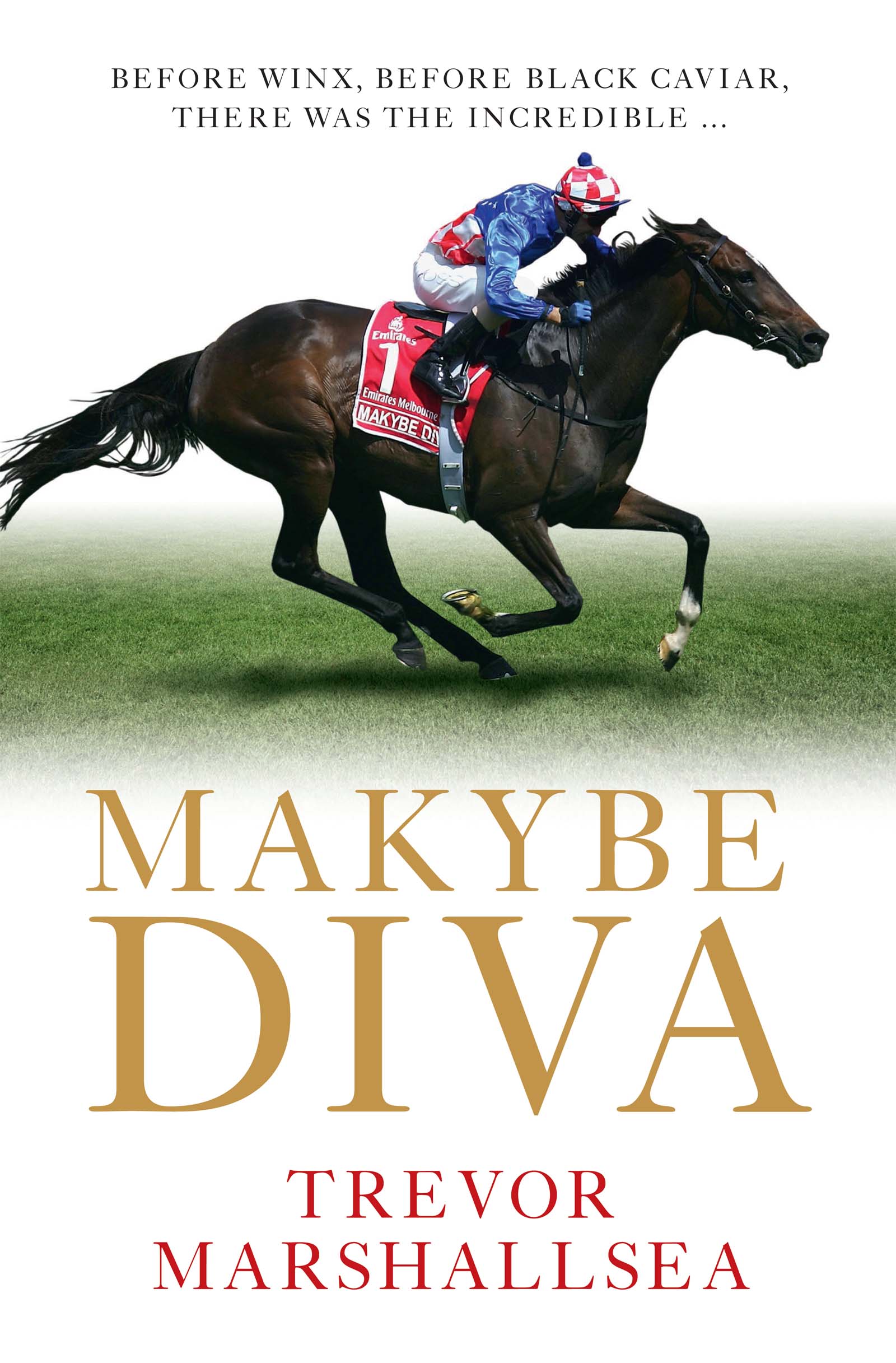 To a silent unflinching hero who made our spirits soar Makybe Diva Contents - photo 1