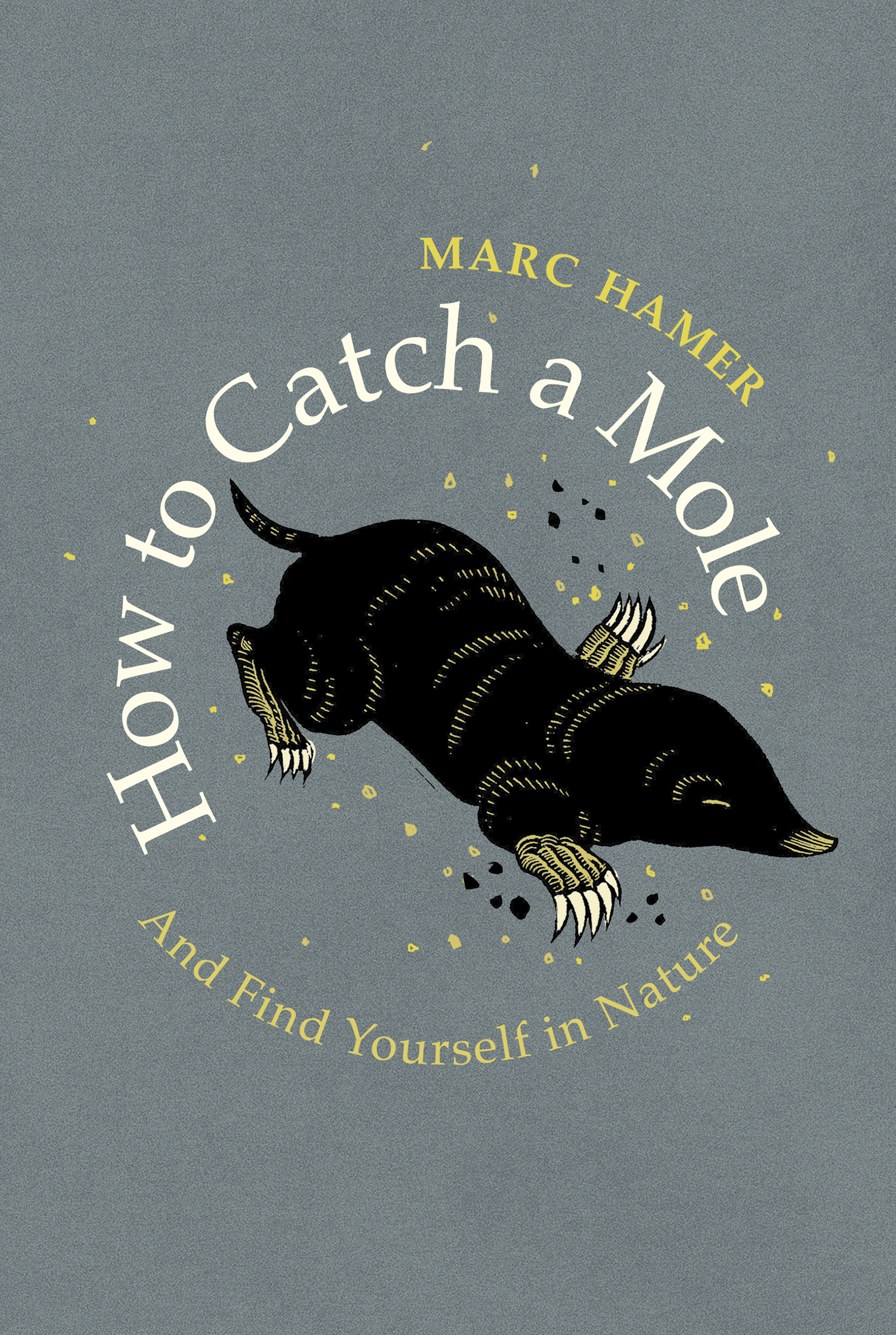 Marc Hamer HOW TO CATCH A MOLE And Find Yourself in Nature Conten - photo 1