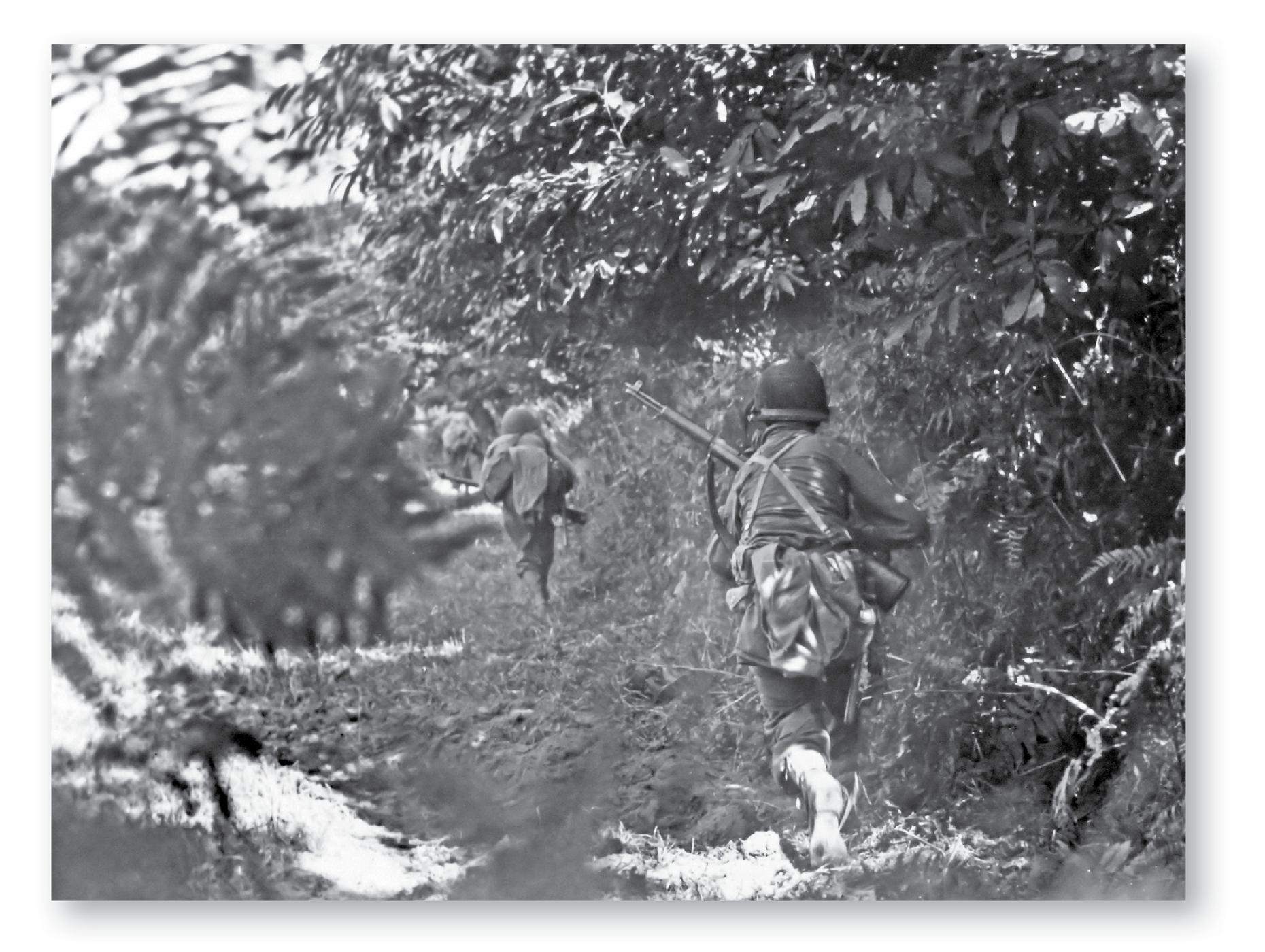 The Battle of the Hedgerows was fought in the bocage country of the western - photo 5