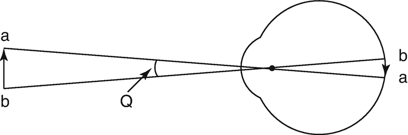 Fig 11 The reciprocal of the minimum visual angle is visual acuity If the - photo 3