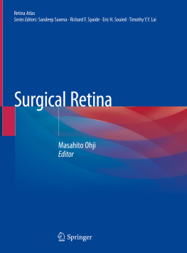 Masahito Ohji Surgical Retina