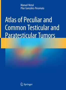 Manuel Nistal - Atlas of Peculiar and Common Testicular and Paratesticular Tumors