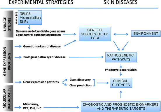 Fig 11 Integration of research and diagnostic strategies in the study of skin - photo 1