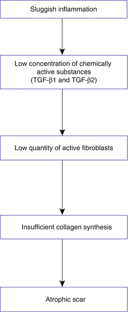 Fig 15 Cascade Localization The facial muscles are mostly mimetic - photo 6