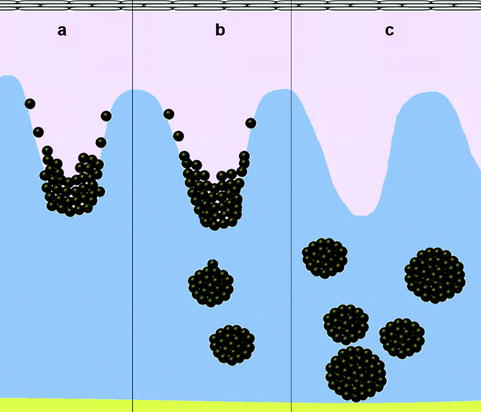 Fig 12 In 1893 Paul G Unna proposed the concept of Abtropfung according - photo 2