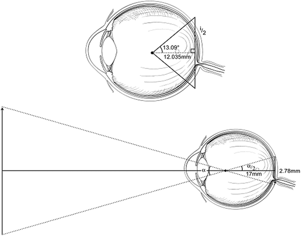 Fig 12 Diagram of schematic eye used in deriving the conversion factor for - photo 2