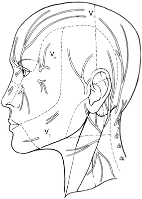 Fig 11 Sensory nerve supply of the head and neck Most of these nerves can - photo 1