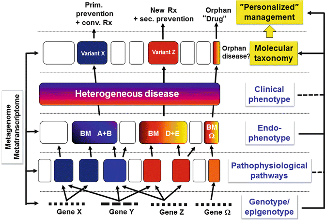 Fig 11 Endophenotype-based stratification of heterogeneous clinical - photo 1