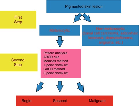 Fig 11 Two-step approach for the diagnosis of pigmented skin lesions The - photo 1