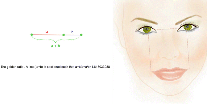 Fig 12 The golden ratio and beauty defined following the golden rule The - photo 2