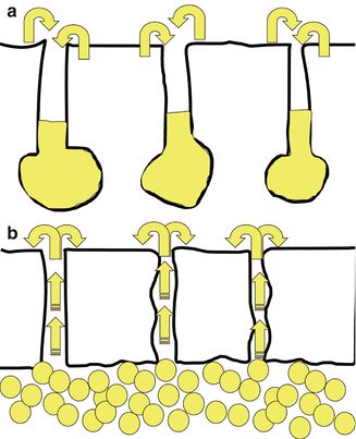 Fig 110 a Portals View sebum comes out from the skin and fills the - photo 10