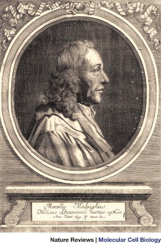 Fig 12 A classical image of Malpighi in an old print The text says - photo 2