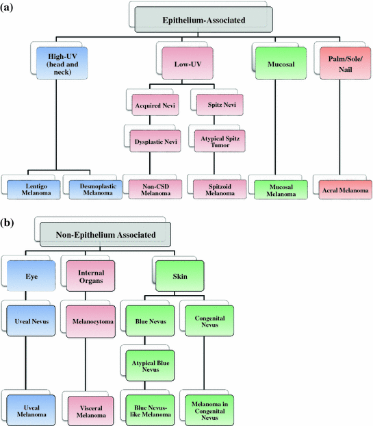 Fig 1 Clinical grouping of melanoma There are distinct patterns of clinical - photo 1