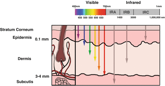 Fig 11 The wavelengths and their corresponding depth of penetration in the - photo 1