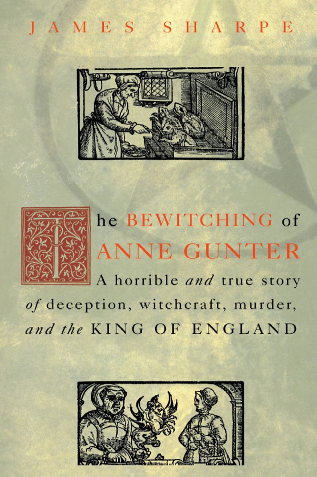 The Bewitching of Anne Gunter - image 1