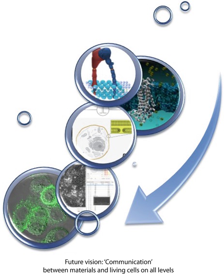 Fig 12 As time will tell eventually synthetic bioarchitectures will be - photo 4