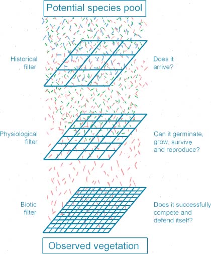 Figure 1 Historical physiological and biotic filters that determine the - photo 1