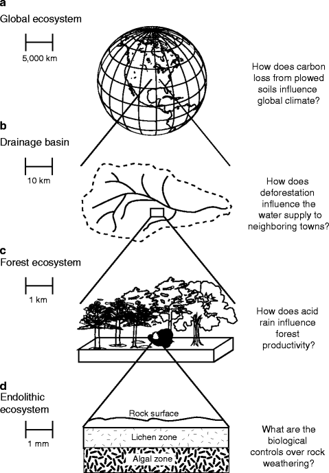 Fig 12 Examples of ecosystems that range in size by ten orders of magnitude - photo 2