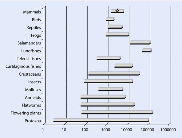 Fig 13 Variation of genome size given in Kb across eukaryotes Reprinted - photo 3