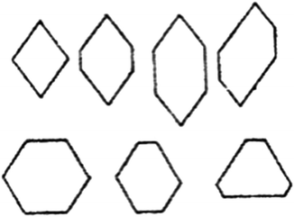 Fig 11 Examples of Stenos drawings of transverse sections of different - photo 1