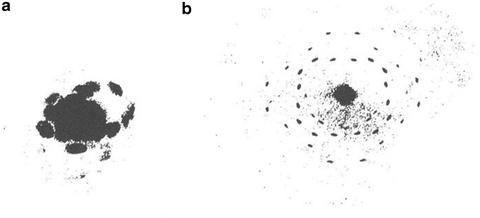 Fig 15 The first X-ray diffraction photograph by Friedrich et al a - photo 5