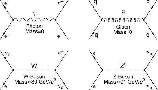 Fig 12 Diagrams for fundamental interactions between particles by the - photo 2