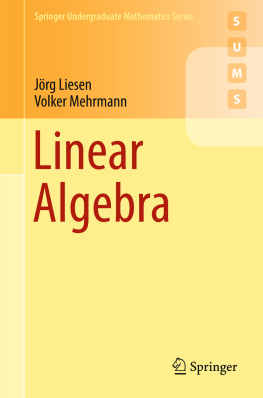 JГ¶rg Liesen - Linear Algebra