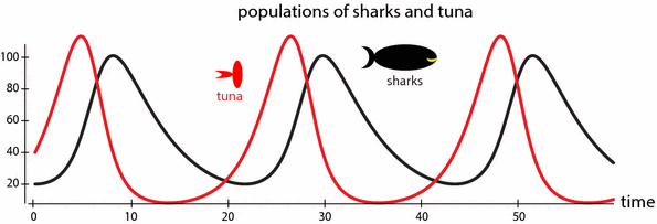 Figure 12 Behavior predicted by a model of interacting predator shark and - photo 3