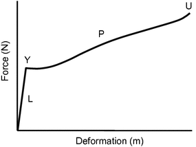 Fig 12 Force-extension curve for steel L linear behaviour Y yield point P - photo 2