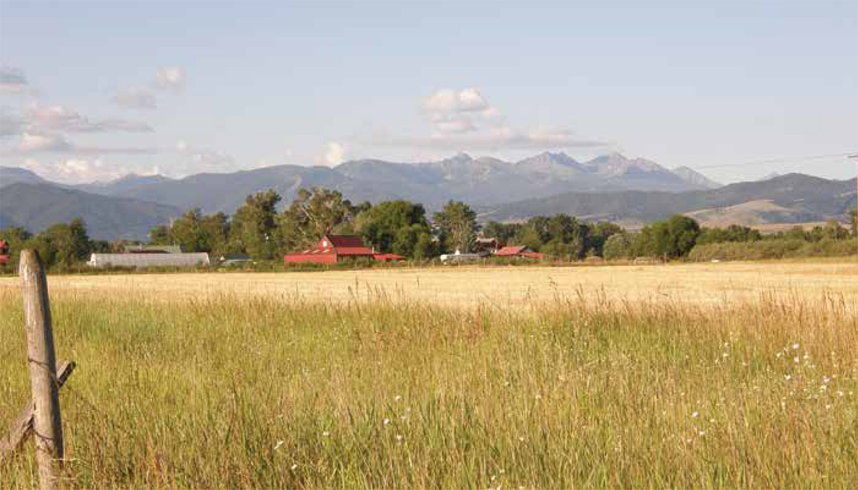 Welcome to Gardening in the Rockies Are you tired of boring grocery-store - photo 3