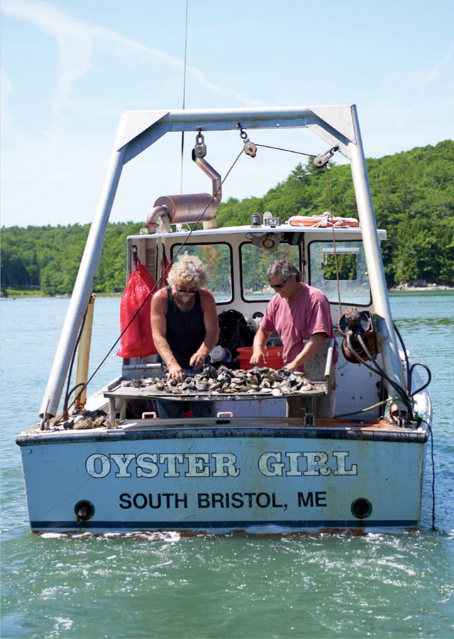 Smokey McKeen and Carter Newell sorting Pemaquid oysters dredged from Maines - photo 6