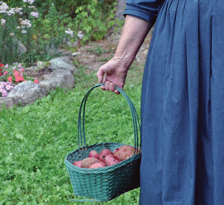 Amish Cooks Across America copyright 2013 by Kevin Williams and Lovina Eicher - photo 2