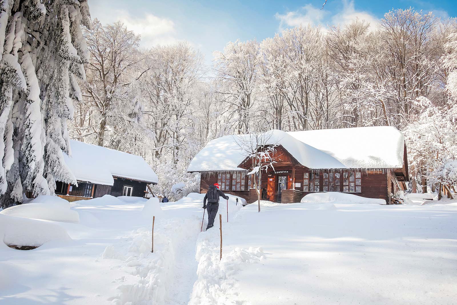 Winding your way up Mount and stopping into one of the many alpine huts to - photo 22