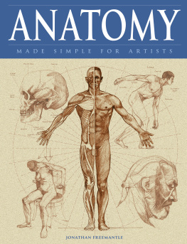 Jonathan Freemantle - Anatomy Made Simple for Artists