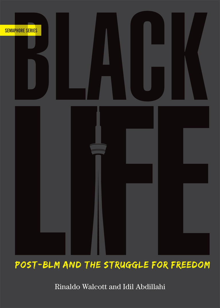 BlackLife Post-BLM and the Struggle for Freedom Copyright 2019 Idil - photo 1