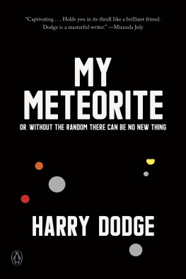 Harry Dodge - My meterorite: Or, Without the Random There Can Be No New Thing