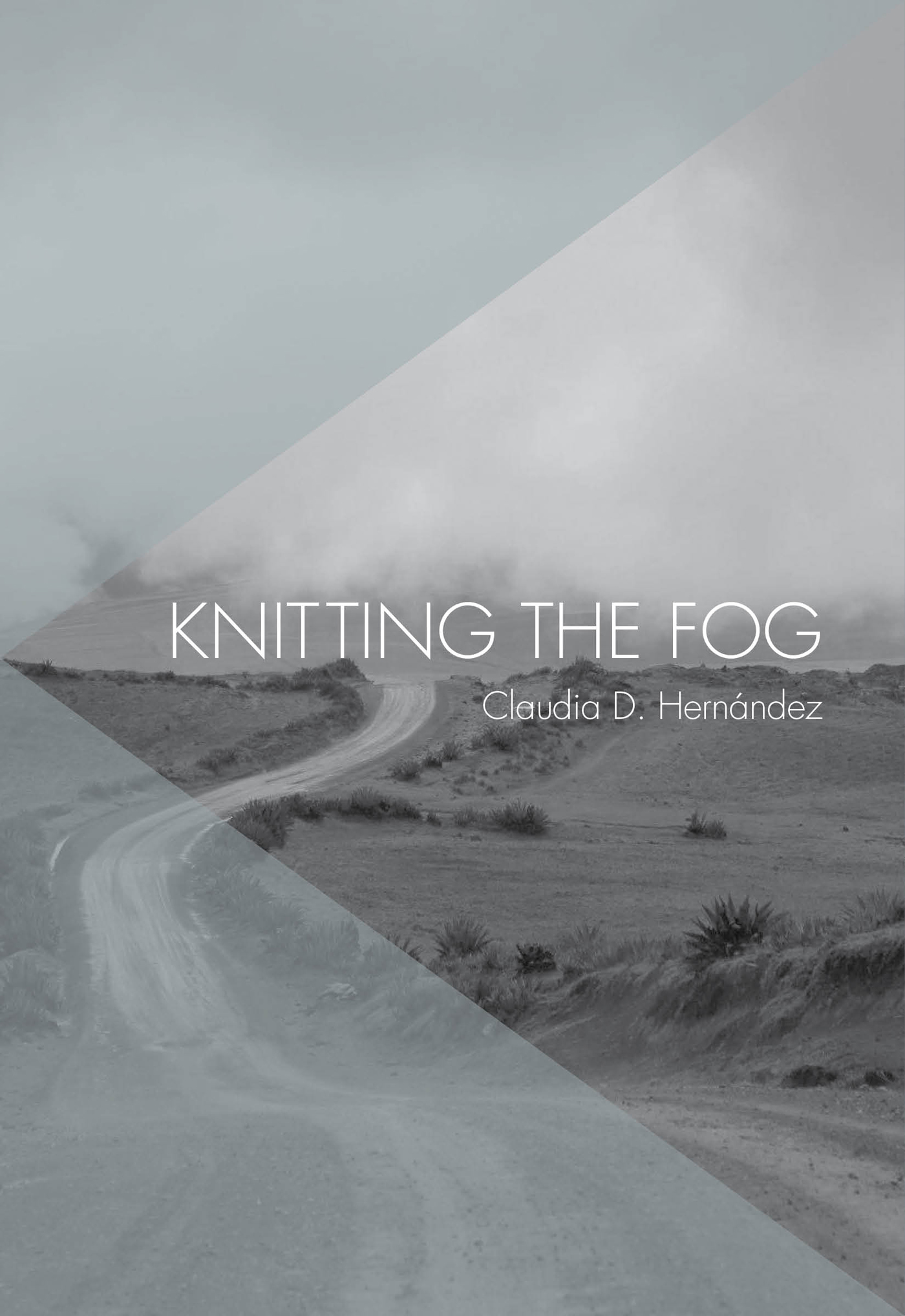 PRAISE FOR KNITTING THE FOG This debut gives tender and keen insight into the - photo 1