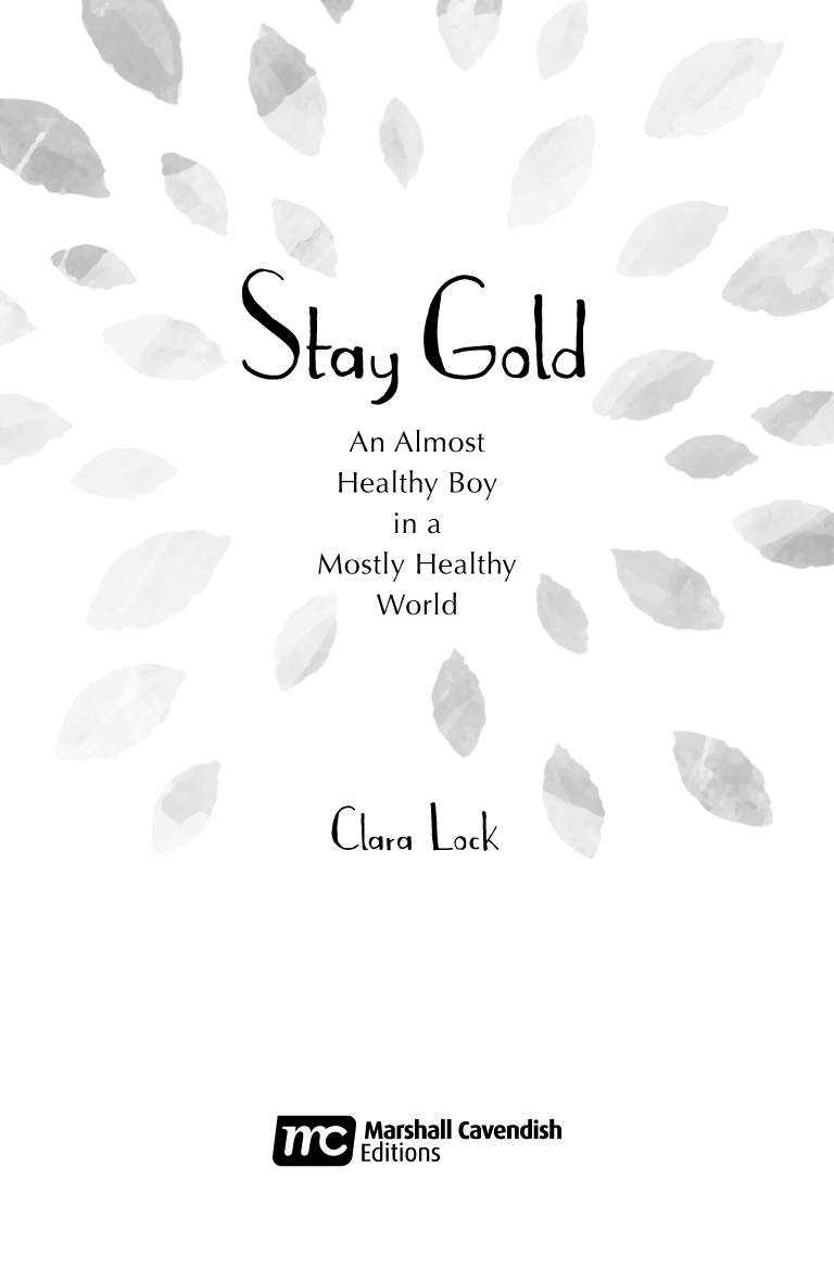 Stay Gold An almost healthy boy in a mostly healthy world - image 2