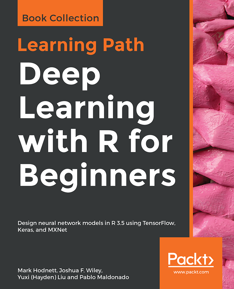 Deep Learning with R for Beginners Design neural network models in R 35 - photo 1