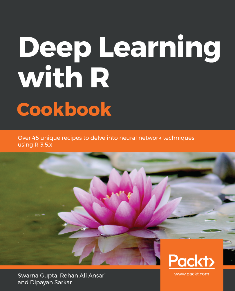 Deep Learning with R Cookbook Over 45 unique recipes to delve into neural - photo 1