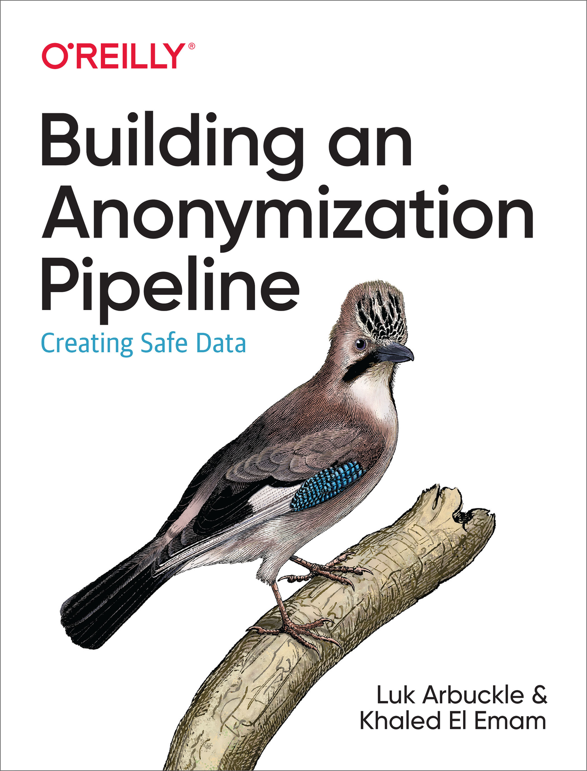 Building an Anonymization Pipeline by Luk Arbuckle and Khaled El Emam - photo 1