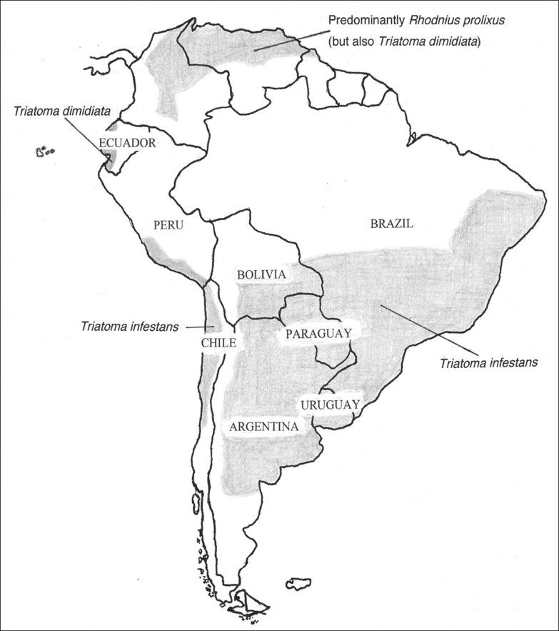 Geographical distribution of Chagas disease vectors in Latin America Source - photo 4