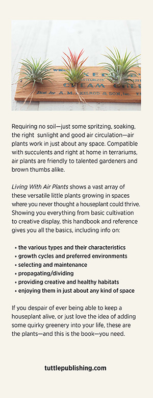 LIVING WITH AIR PLANTS A Beginners Guide to Growing and Displaying Tillandsia - photo 1