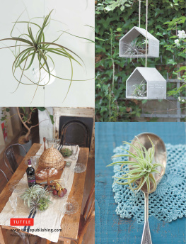 Yoshiharu Kashima Living with Air Plants: A Beginner’s Guide to Growing and Displaying Tillandsia