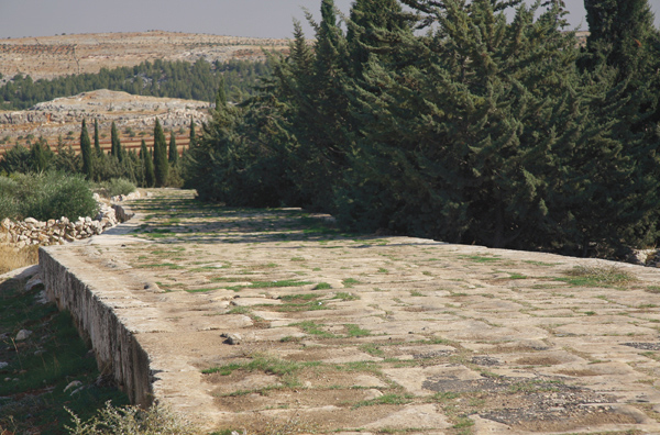 Roman road in Syria The first section of this book outlines briefly some of - photo 4