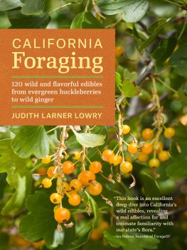 Judith Larner Lowry - California Foraging: 120 Wild and Flavorful Edibles from Evergreen Huckleberries to Wild Ginger