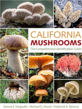Dennis E. Desjardin California Mushrooms: The Comprehensive Identification Guide
