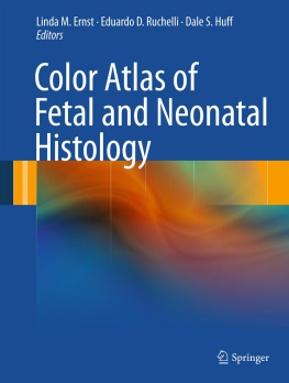 Linda M. Ernst (editor) - Color Atlas of Fetal and Neonatal Histology