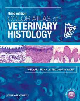 Ph.D. Bacha - Color Atlas of Veterinary Histology